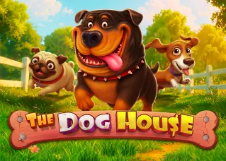 หวยลาววันนี้ 4 ตัว The Dog House ทดลองเล่นฟรี
